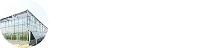 濰坊市華騰生態農業科技發展有限公司